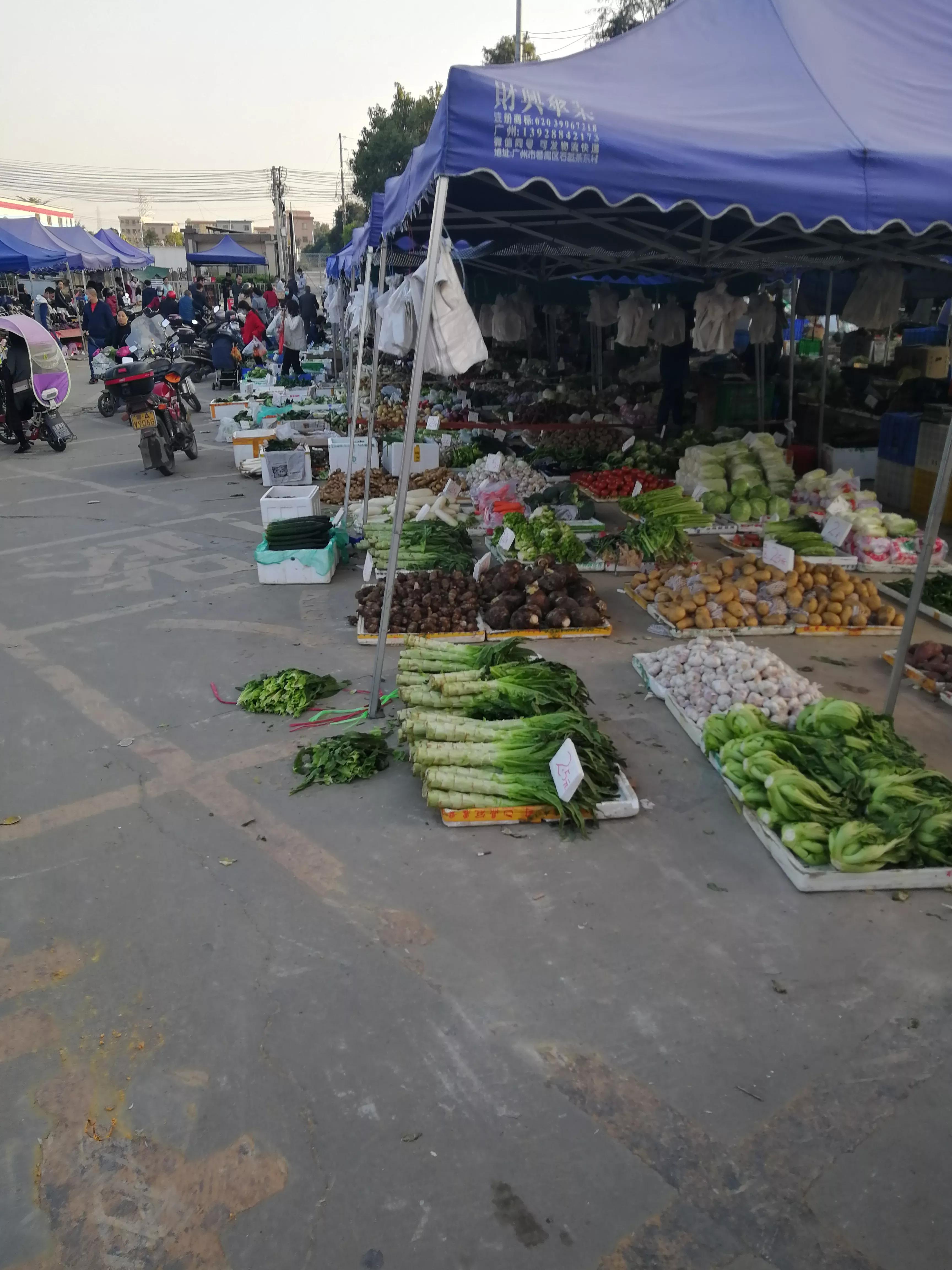 地铁4号线美丽乡村东涌,地铁4号线沿路风景