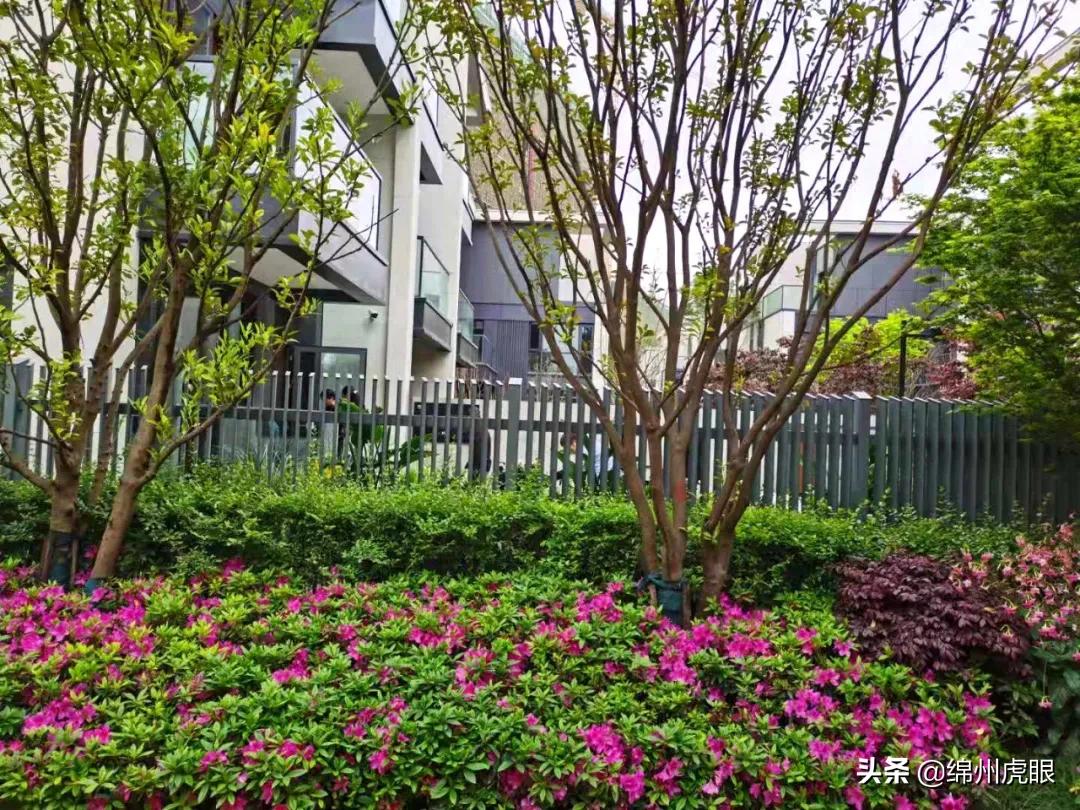 绵阳2021交房的高品质楼盘,绵阳各区域的高端楼盘