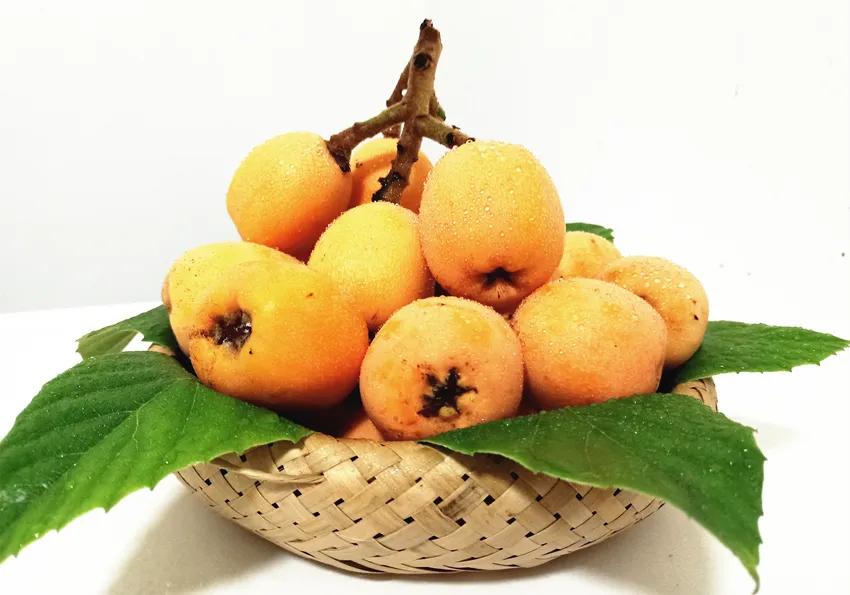 开阳最好吃的枇杷,皮薄多汁的枇杷