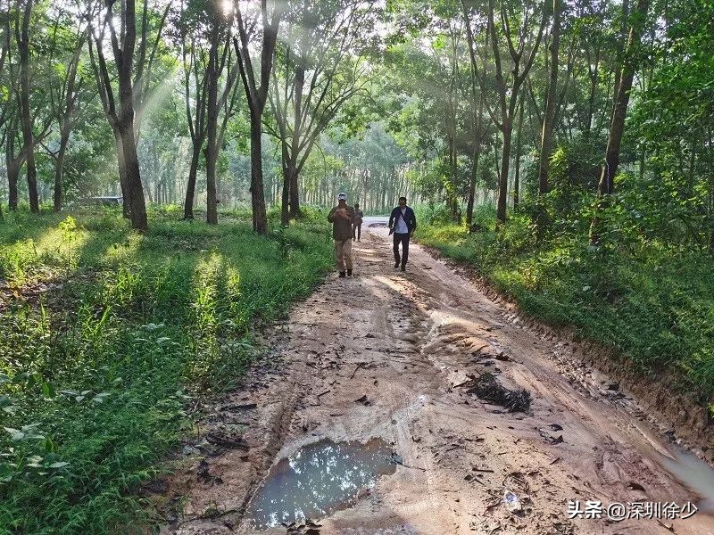 SAWALI我们的品牌我们的情怀