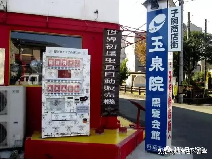 日本昆虫拉面自助售卖机,日本活体昆虫自助售卖机