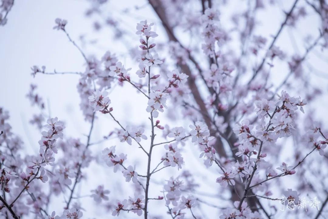 佳能rf70-200mmf4镜头价格,轻巧大光圈长焦佳能rf70-200mmf2