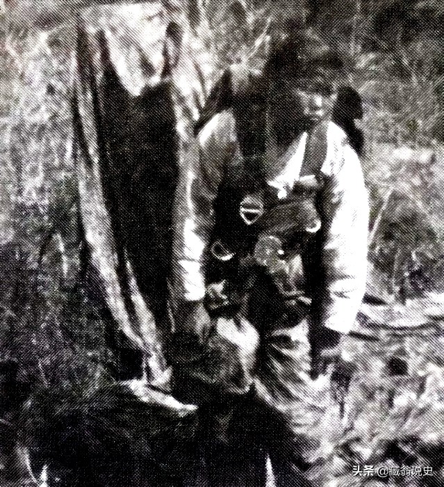 6个故事剧情完整分析,六个历史真实故事