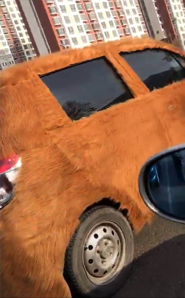 汽车都穿上皮草了，我们还有什么理由不努力？