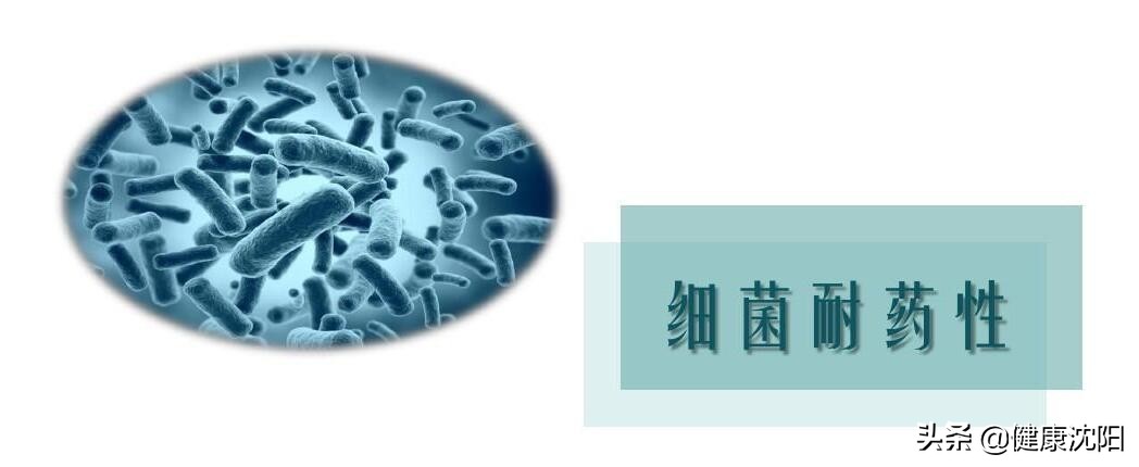 家庭健康合理用药话题,科学就医与合理用药知识讲座