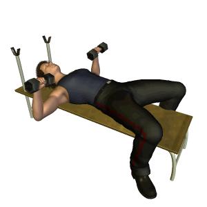 在健身房怎么练出胸肌,朝阳健身房胸肌腹肌训练器械