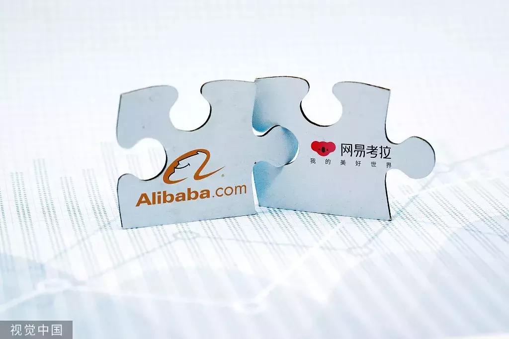 20亿美元！考拉住进“阿里动物园”，薅羊毛*党**哭了……