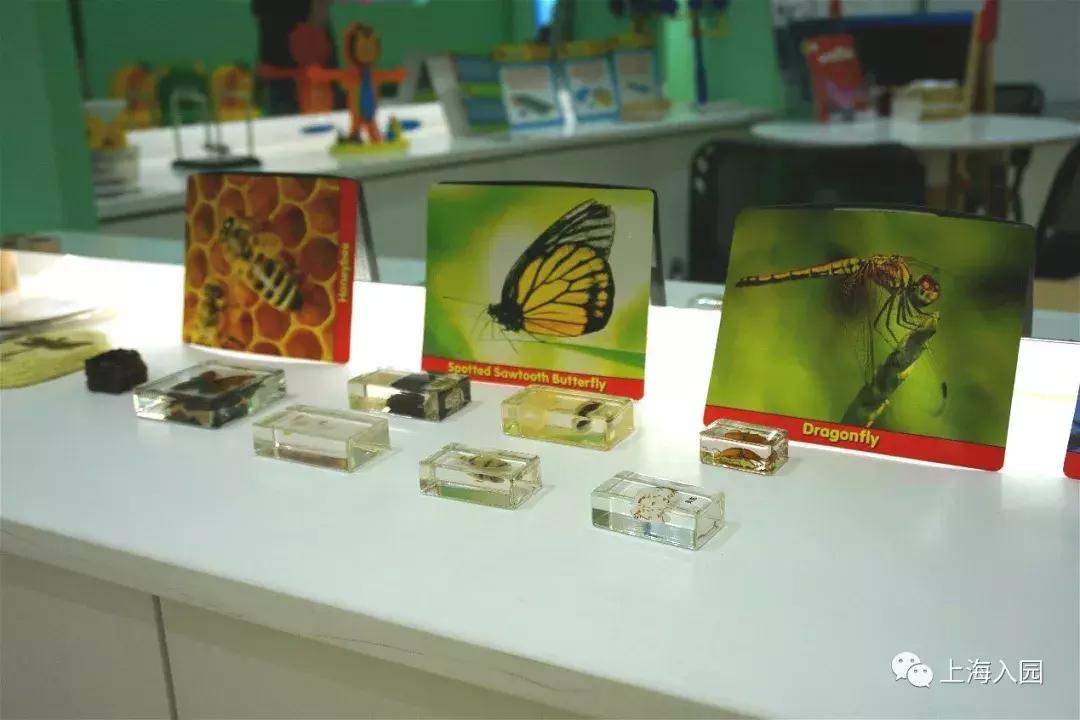 美式风格幼儿园,美式幼儿园课程