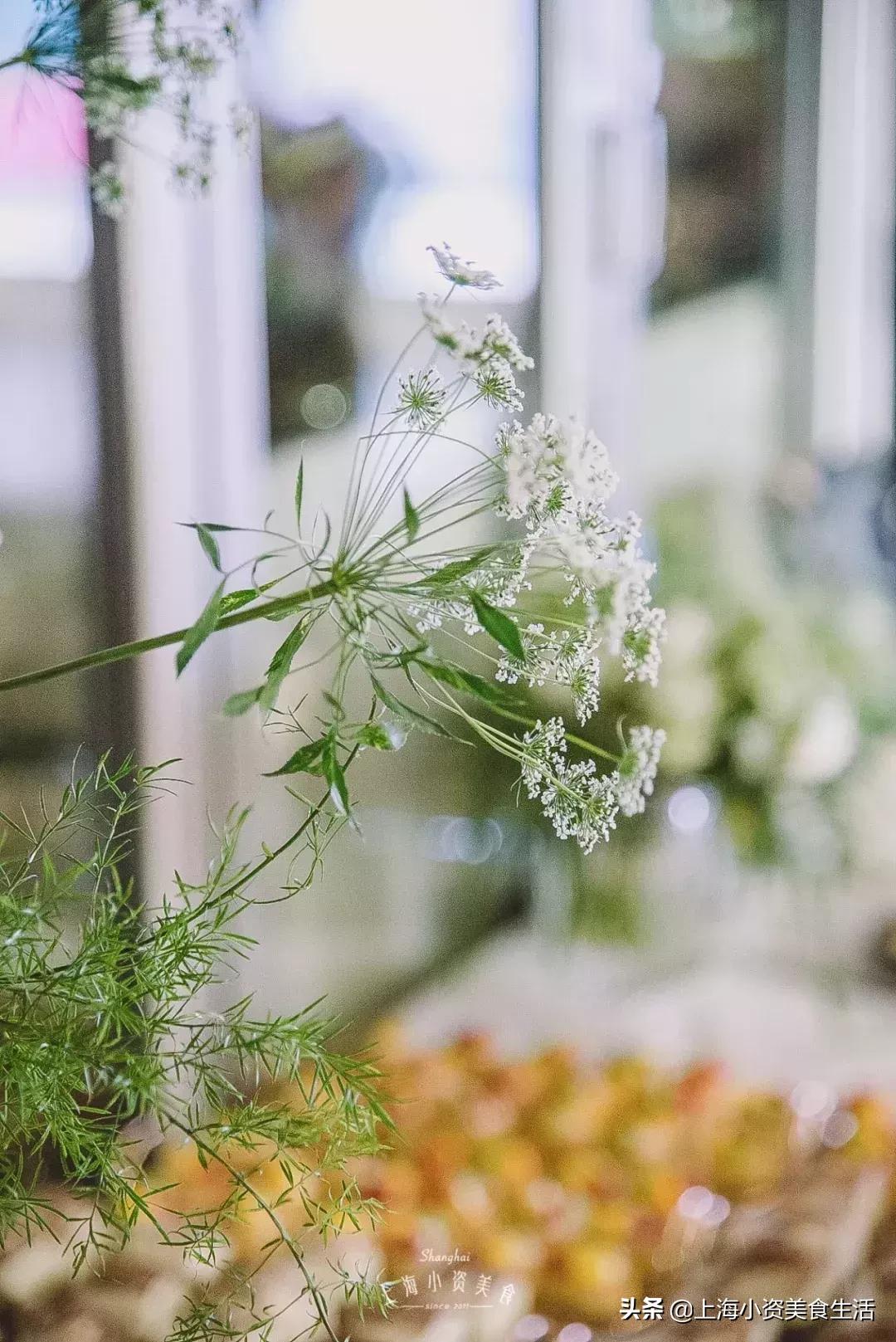 美食排行榜前十名网红店,小资美食全部视频