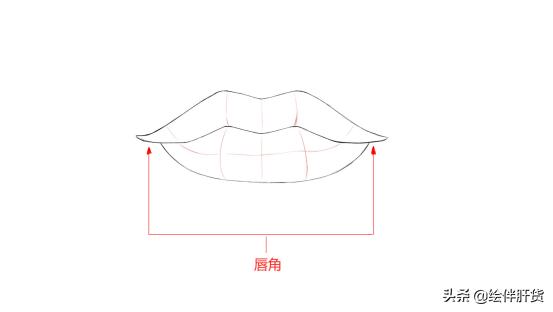 怎么画出诱人性感的小嘴唇？嘴唇的结构和画法教程分享