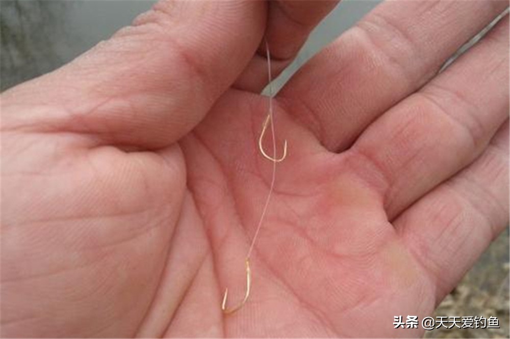 钓鱼技巧：提高中鱼率的5大技巧，想钓更多的鱼？靠的就是中鱼率