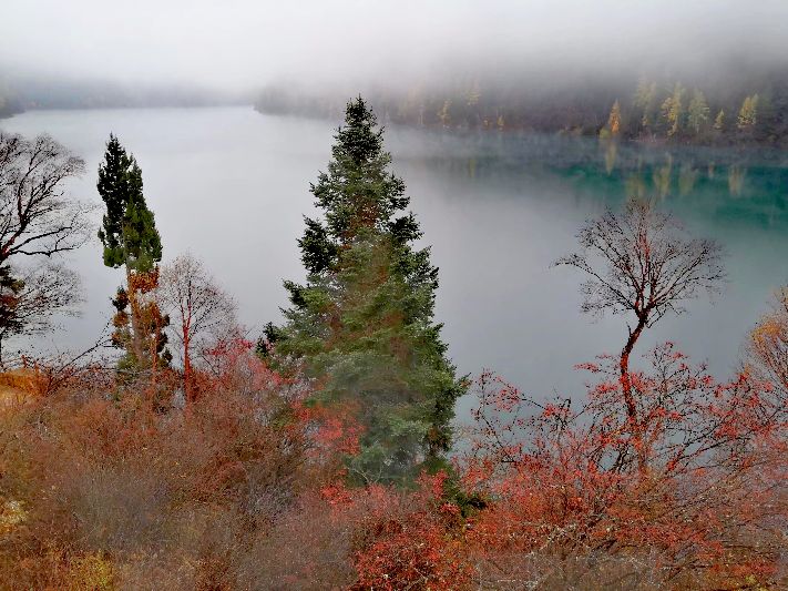 九寨沟一日游感悟,九寨沟和黄龙旅行美景