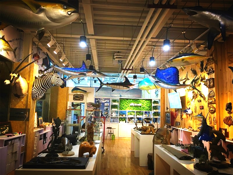 我知道钓鱼烧钱，但不知道我最后能烧掉北京两套房