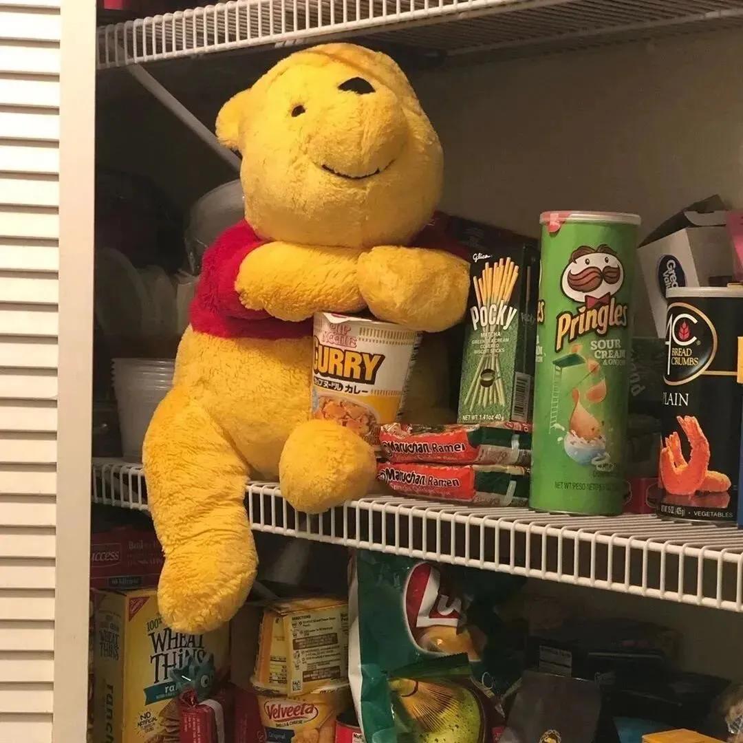 布偶头像图片大全,可爱布偶头像