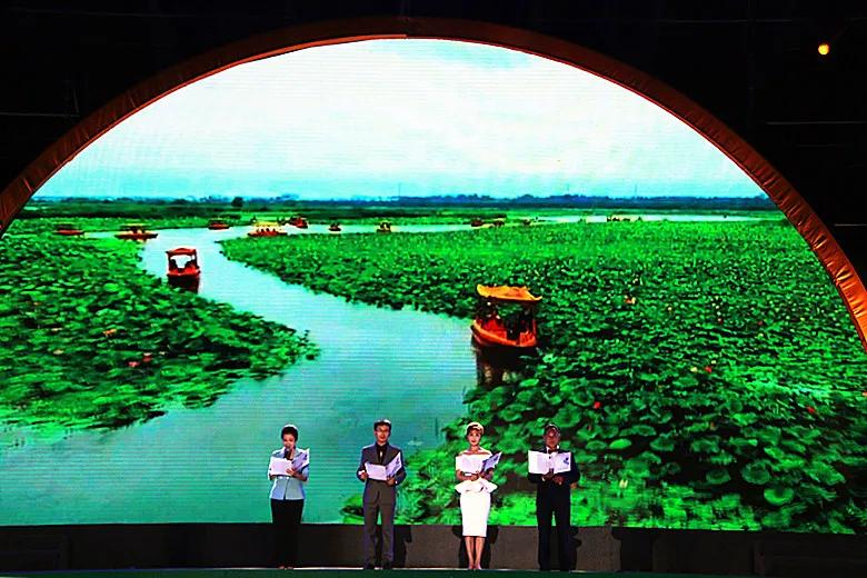 淮阳龙湖风景区荷花盛开,淮阳荷花风景区