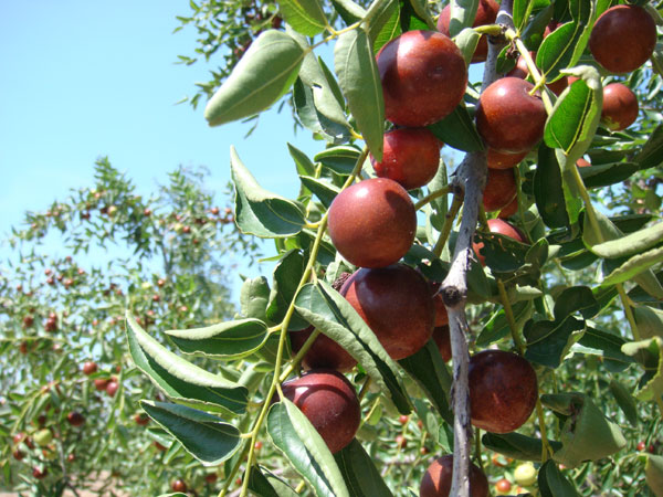 河南省三门峡灵宝市简介,三门峡历史文化遗迹
