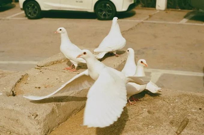 大连回到20年前,大连回到了故乡烟台