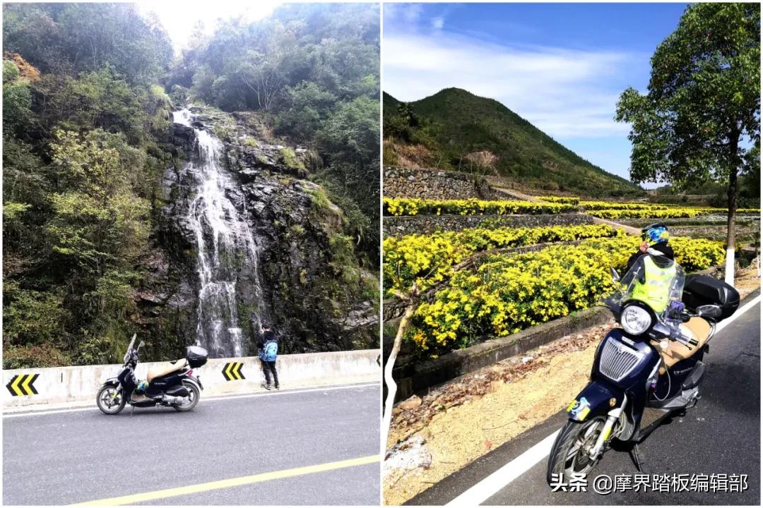 「我与金城的故事」提拉米苏伴我闯荡江东三郡,下）