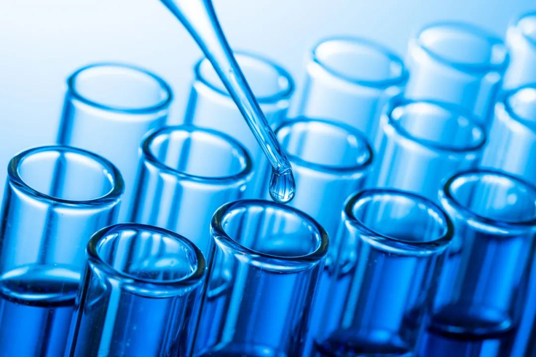 蒲公英根茶有杀死癌细胞的功效吗,蒲公英根泡水喝有什么功效和作用