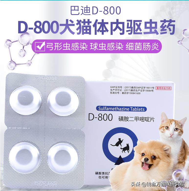 猫得了球虫病怎么办,猫得球虫病怎么治疗