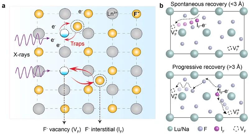 长余辉+*土稀**纳米晶=柔性X射线探测