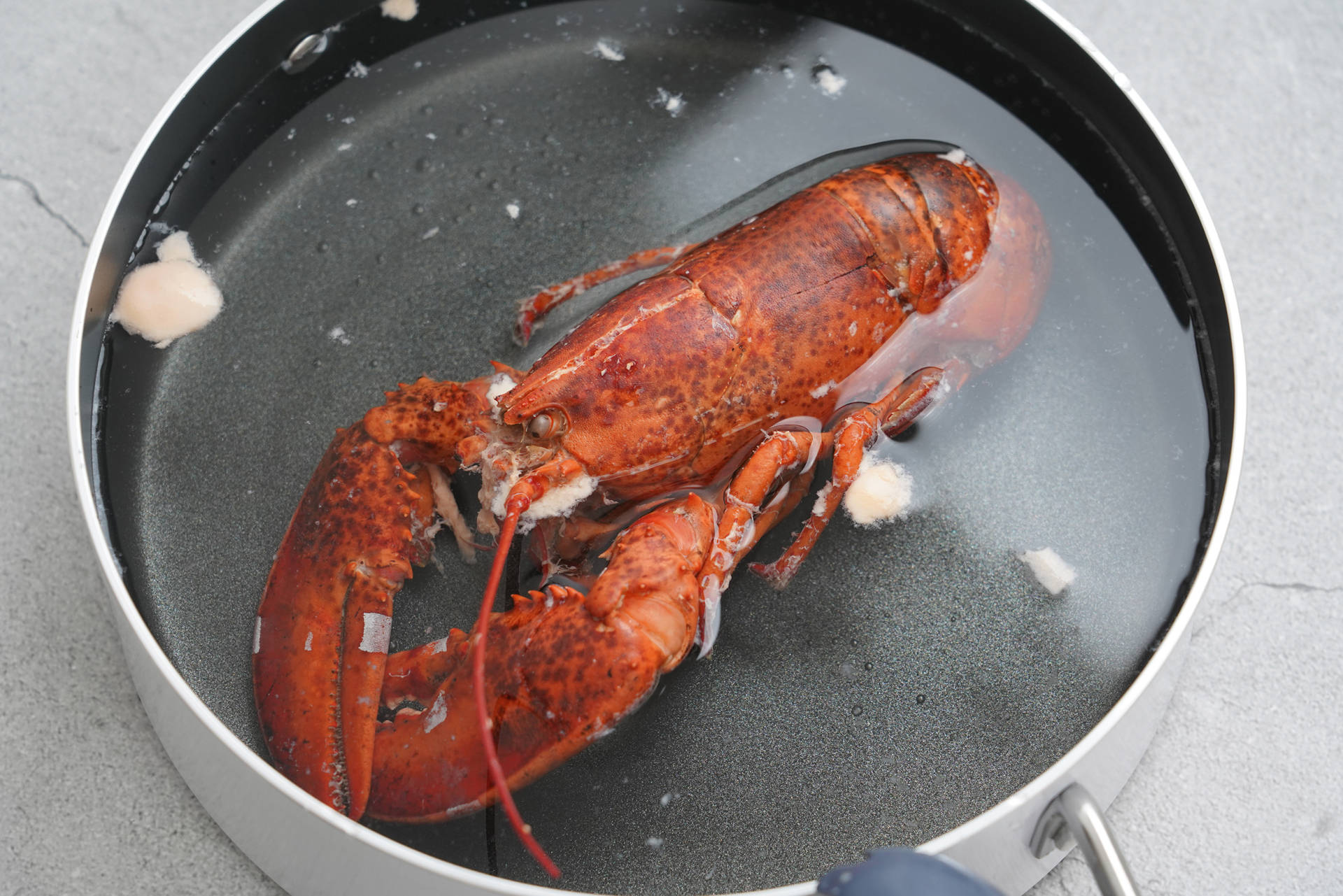 蒜蓉芝士焗龙虾的做法窍门视频,蒜蓉蒸波士顿龙虾的做法大全