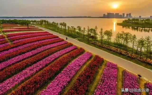 兴奋！连云港又有一波民生好消息传来，涉养老金、公积金、教育等