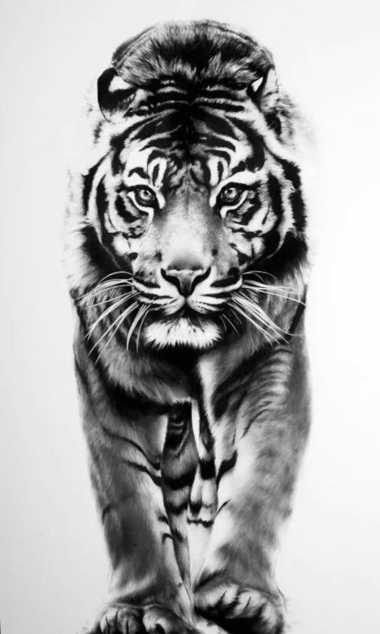 绱犳弿鍏ラ棬鍔ㄧ墿,绱犳弿鍔ㄧ墿瑙ｆ瀽