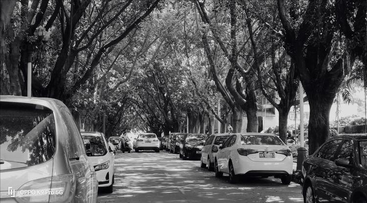 oppok9pro有哪些优点和缺点,oppok9pro评测最新