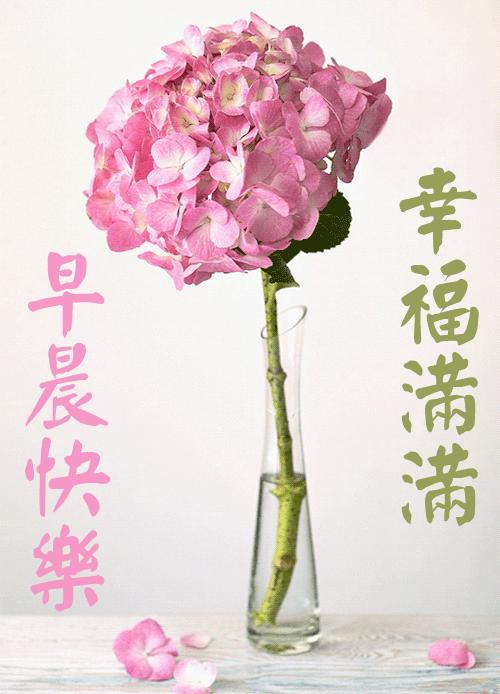 3.2,祝你今日精力棒棒,生机多多,心境好好,一切都好!