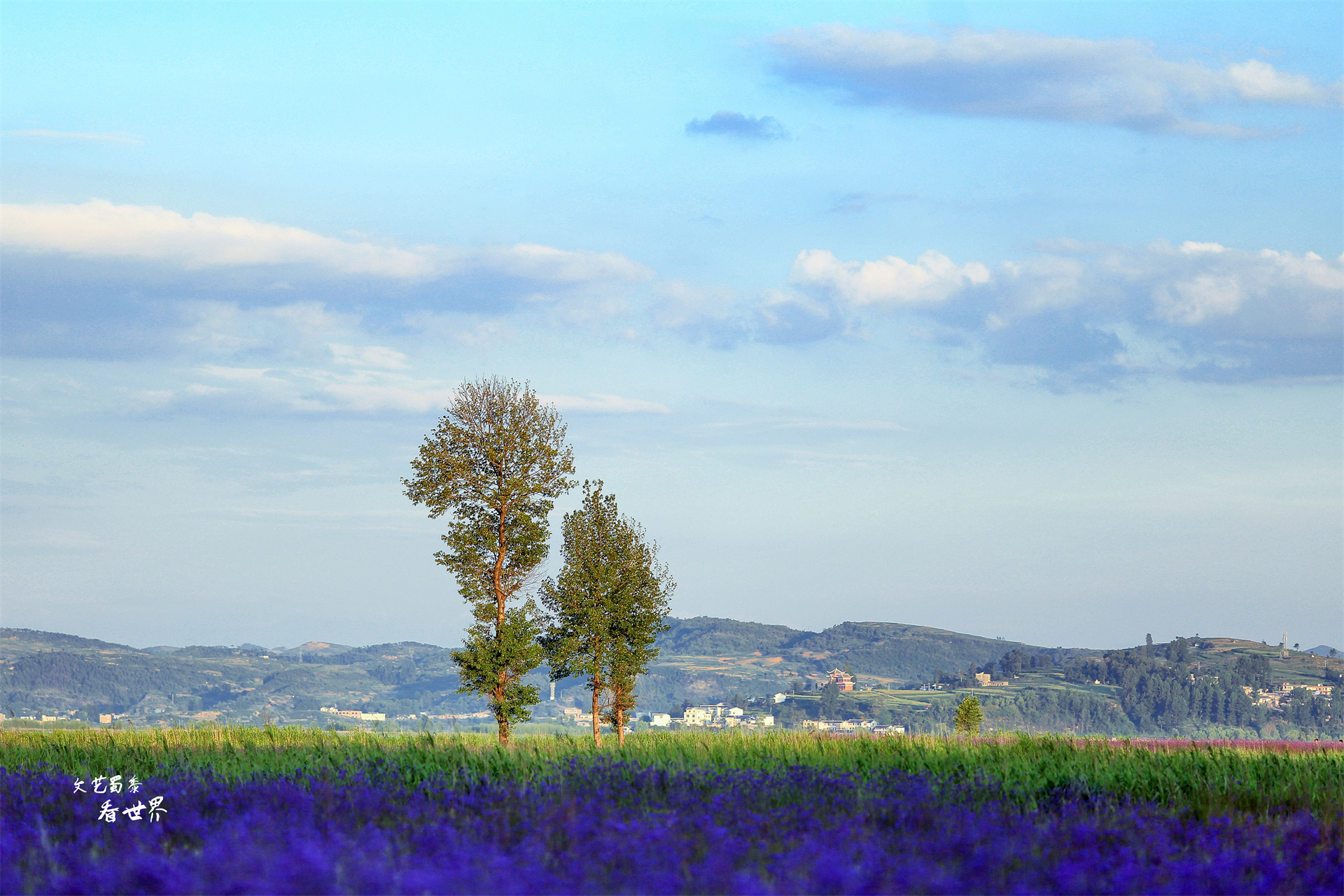 贵州是个神秘的地方,贵州这个景点景色优美你去过了吗