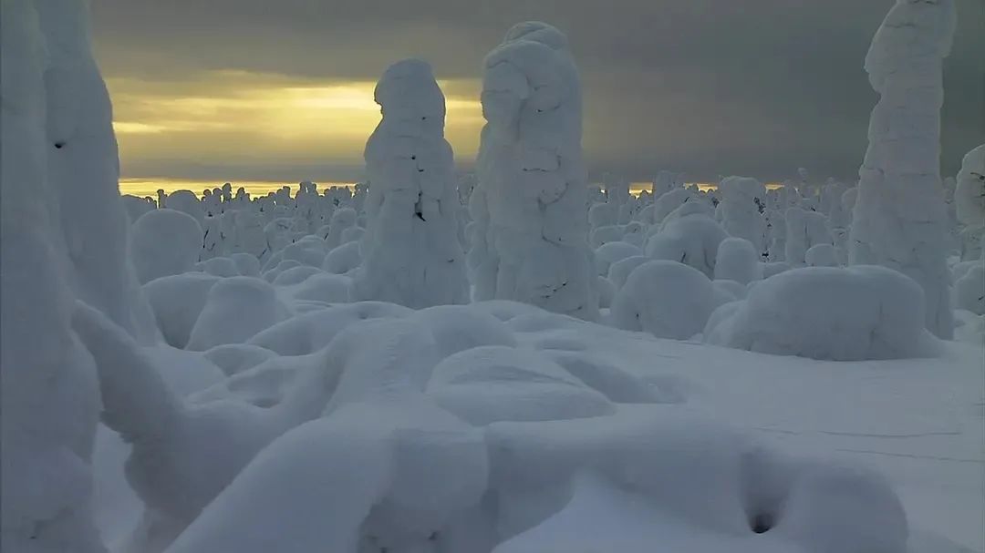 假期儿童纪录片推荐经典,青少年假期推荐纪录片