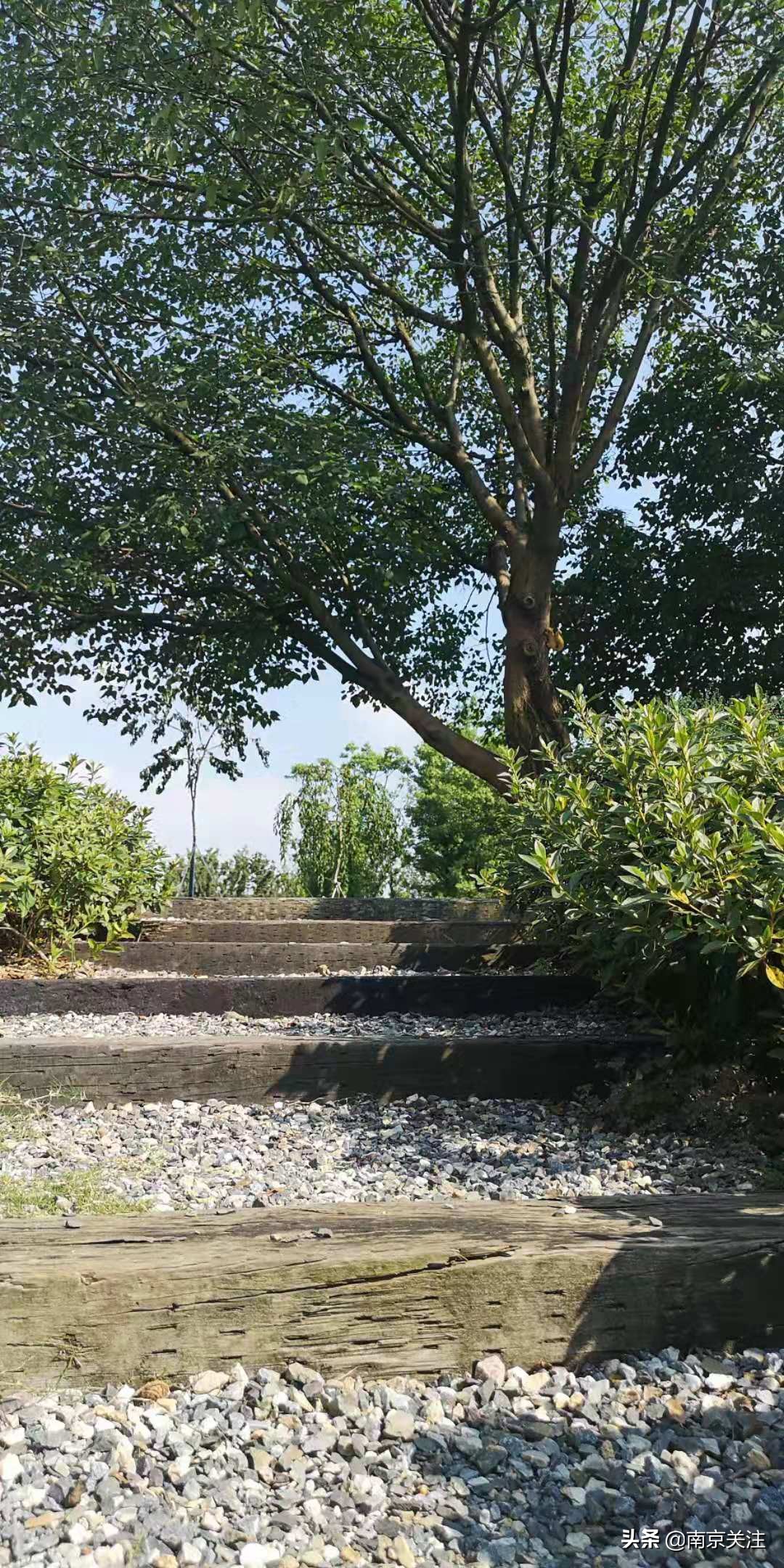 溧水三叶梦华苑有哪些好玩的地方,溧水三叶梦华苑秋天看什么