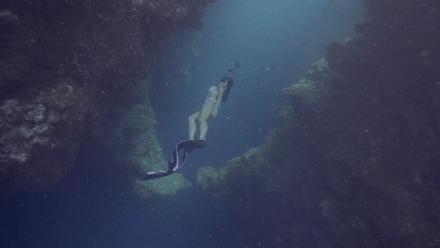 帕劳岛自由行潜水,帕劳水母湖自由潜视频