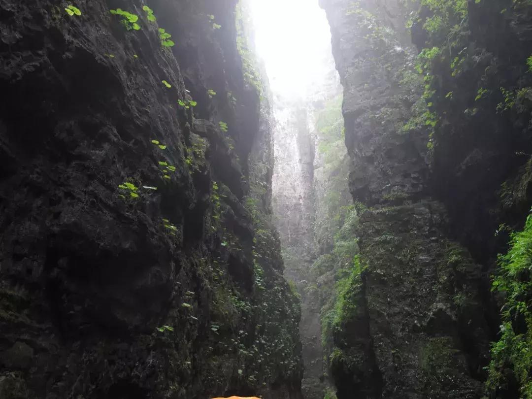 城里热山里凉快视频,高温天气清凉避暑好胜地