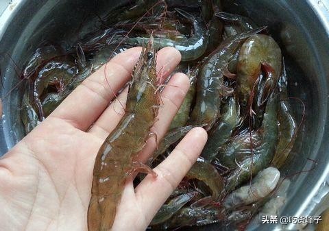 大虾怎么保存放冷藏还是冷冻,大虾放冰箱正确的冷冻方法