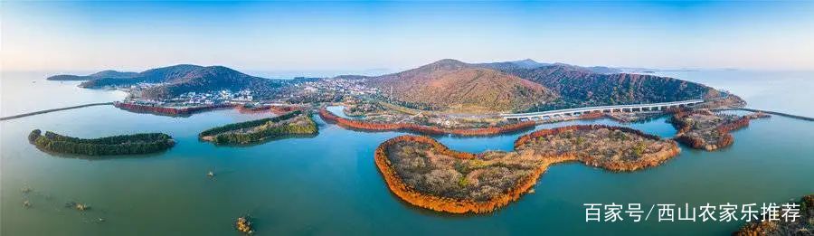 苏州西山网红打卡地樱花,苏州西山风景区有什么好玩的地方