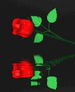 5201314，送你999玫瑰花，祝你爱情甜甜蜜蜜