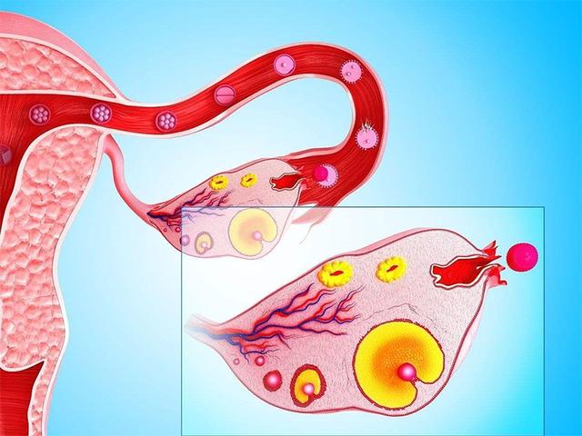 跳绳对备孕的人好处,备孕跳绳对精子有好处吗