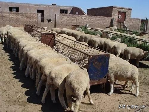 快速致富赚钱项目有哪些,做什么能发财致富好项目