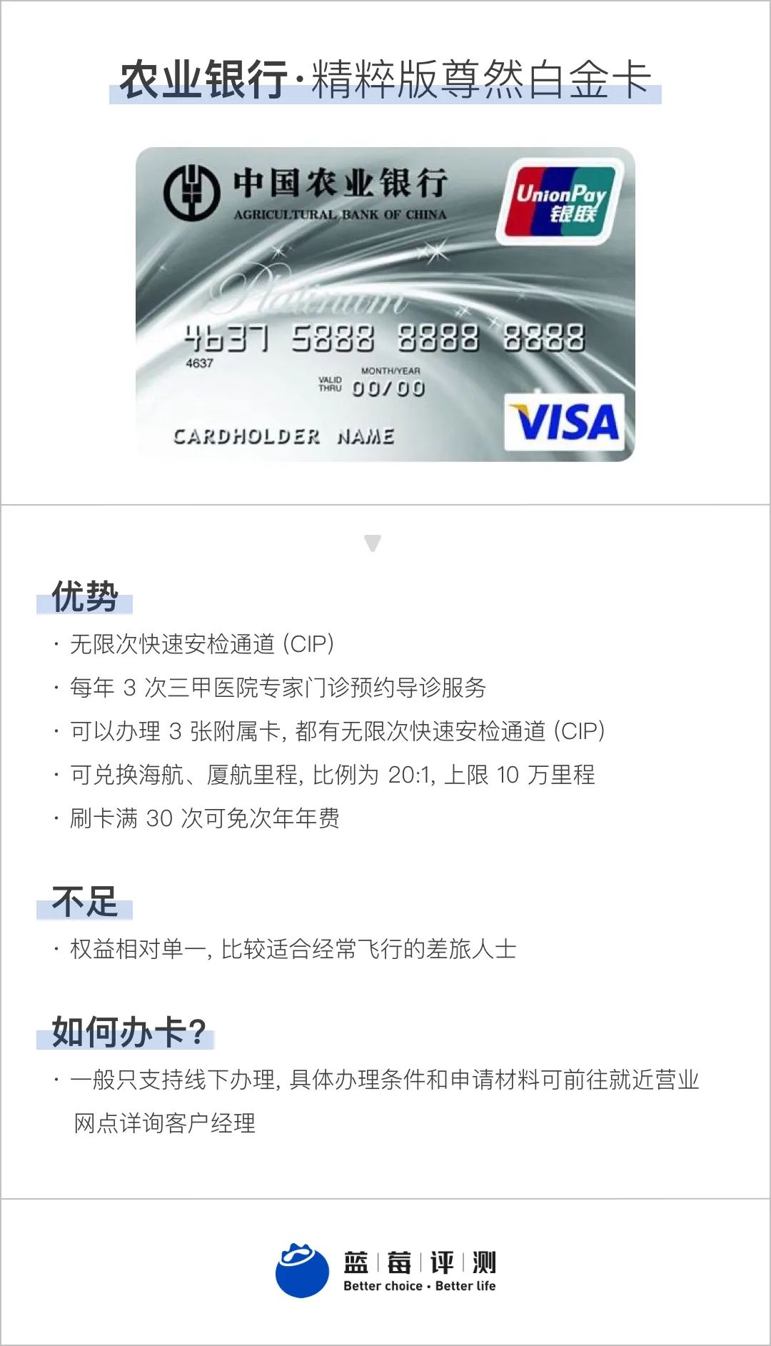 蓝莓评测,蓝莓测评推荐