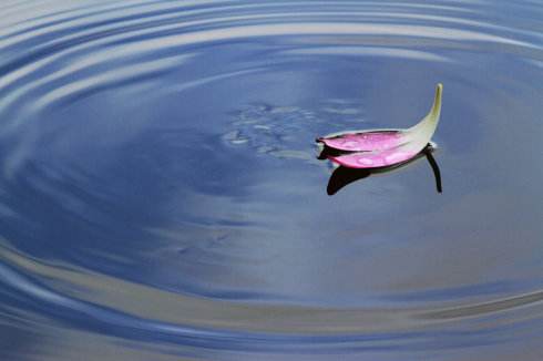 北大才女,北大才女实力非同一般