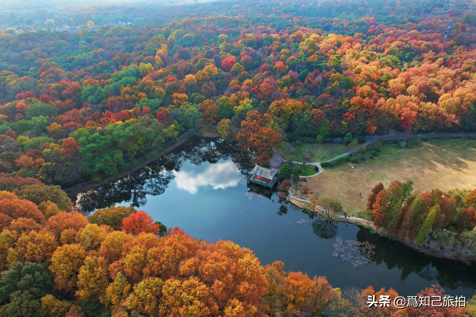 美在金陵文艺大咖秀,美在金陵梁梅
