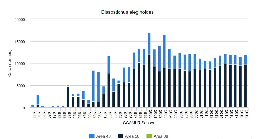 银鳕鱼智商税,银鳕鱼猫腻