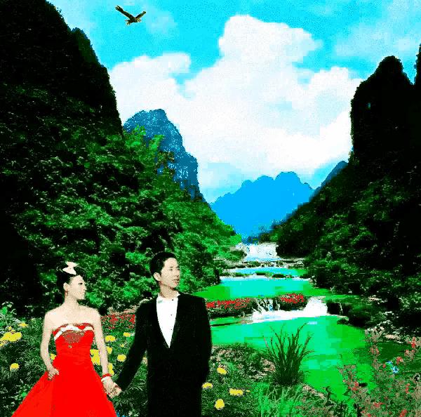 散文随笔植物,散文花