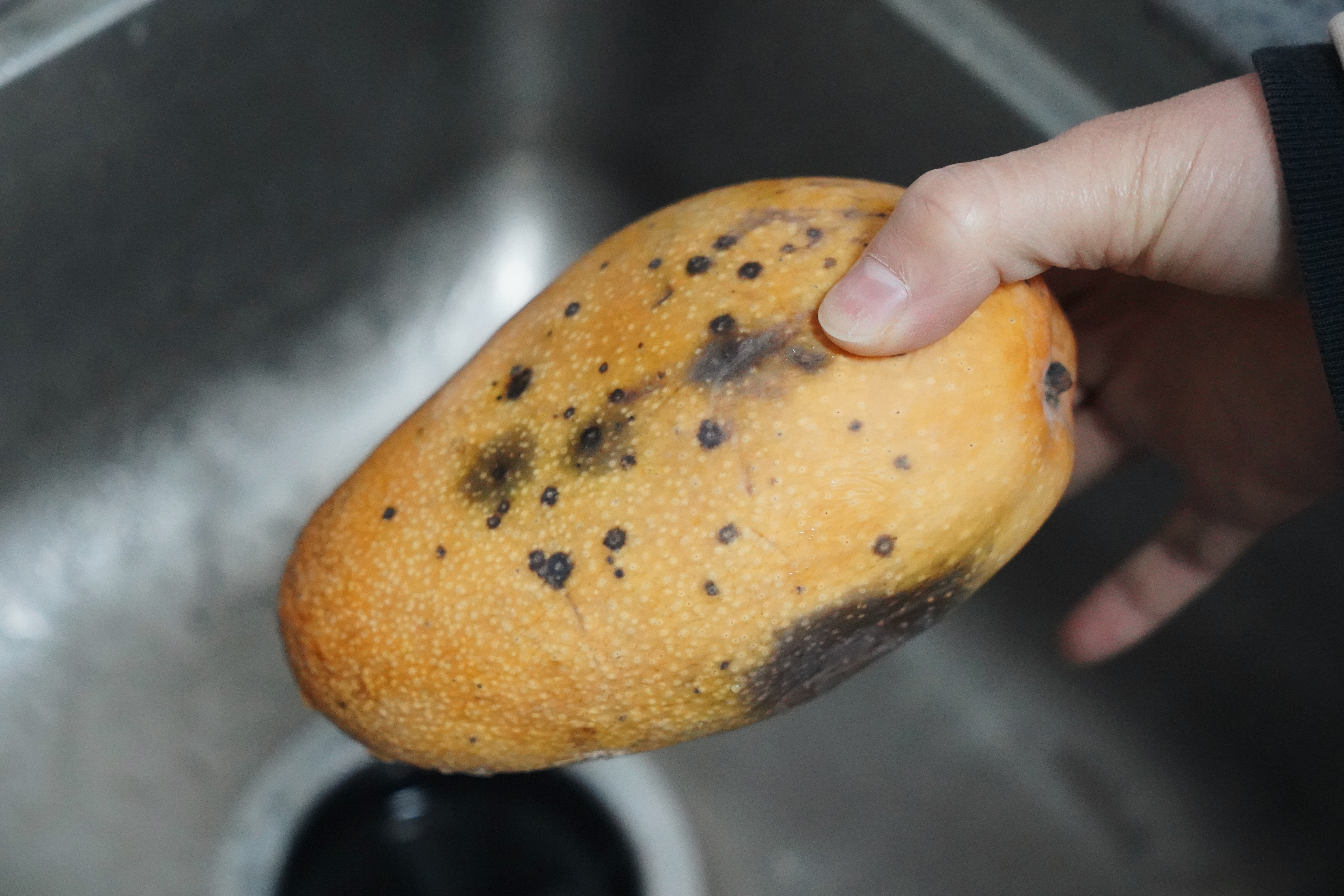 入住2年的懒人厨房清单，收纳、厨具，垃圾处理器推荐