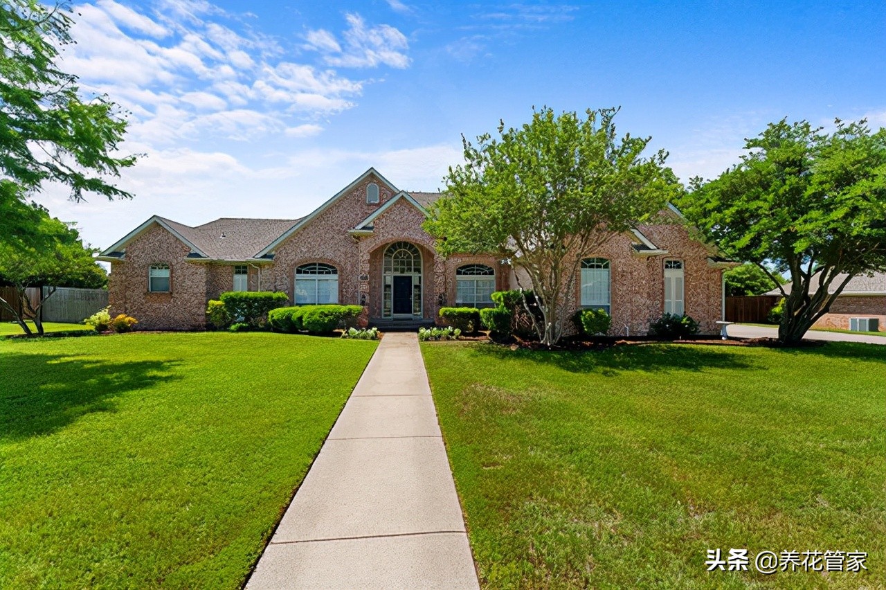 花园一年四季绿植种植大全,花园草地打理