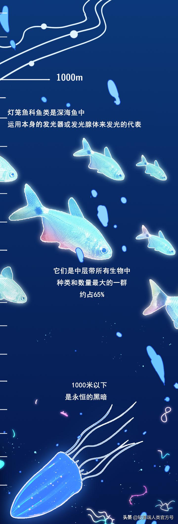 手机掉进水里十几秒有问题吗,手机掉入1000米