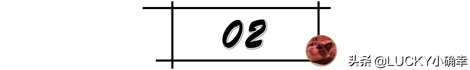 猫咪喝水呛鼻子怎么办,猫咪不爱喝水鼻子干怎么办