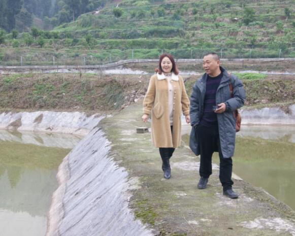 「重庆新职农风采」小泥鳅掀起“致富大浪”年销售收入达600万元